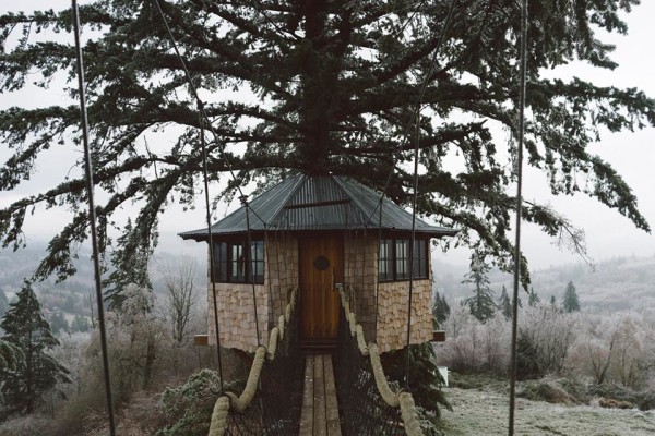 tree-house