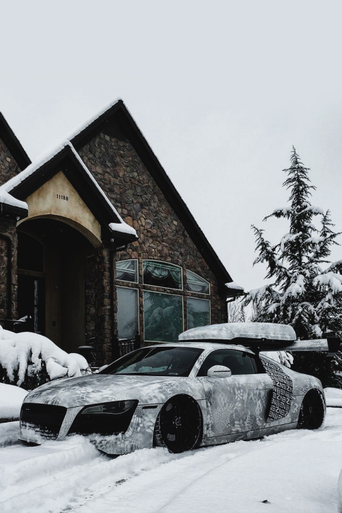 audi=snow