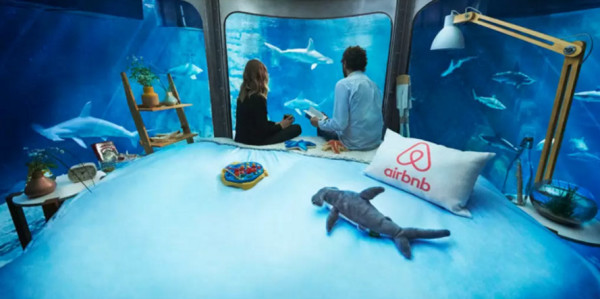 Airbnb-shark-tank-underwater-bedroom-contest