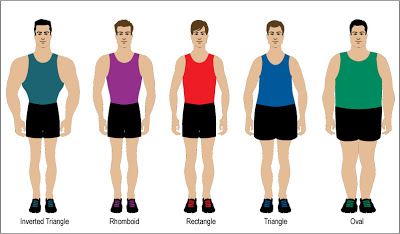 body-types-men