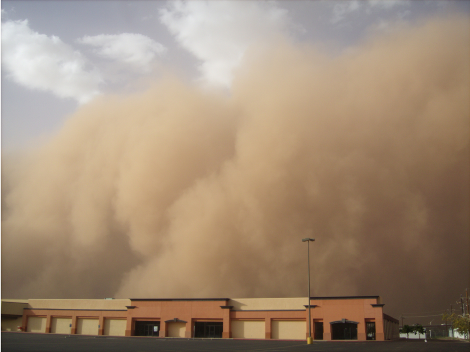 How to survive a sandstorm