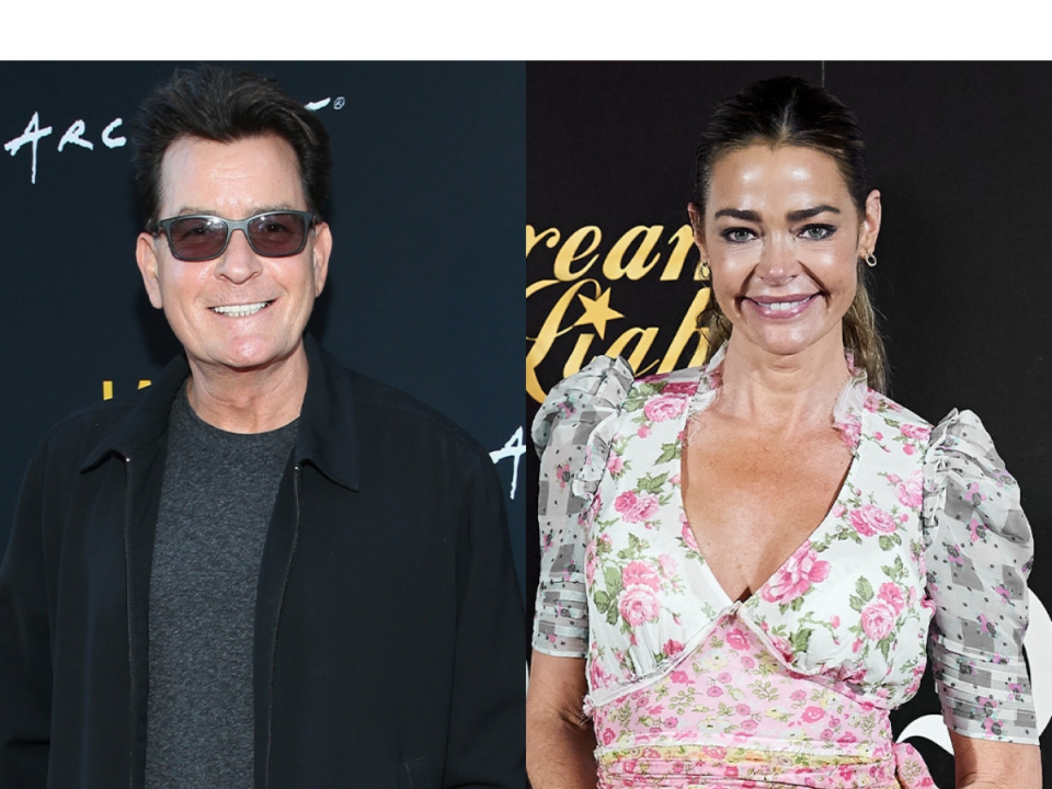 Denise Richards Reason For Her Divorce From Charlie Sheen Hispotion 0516