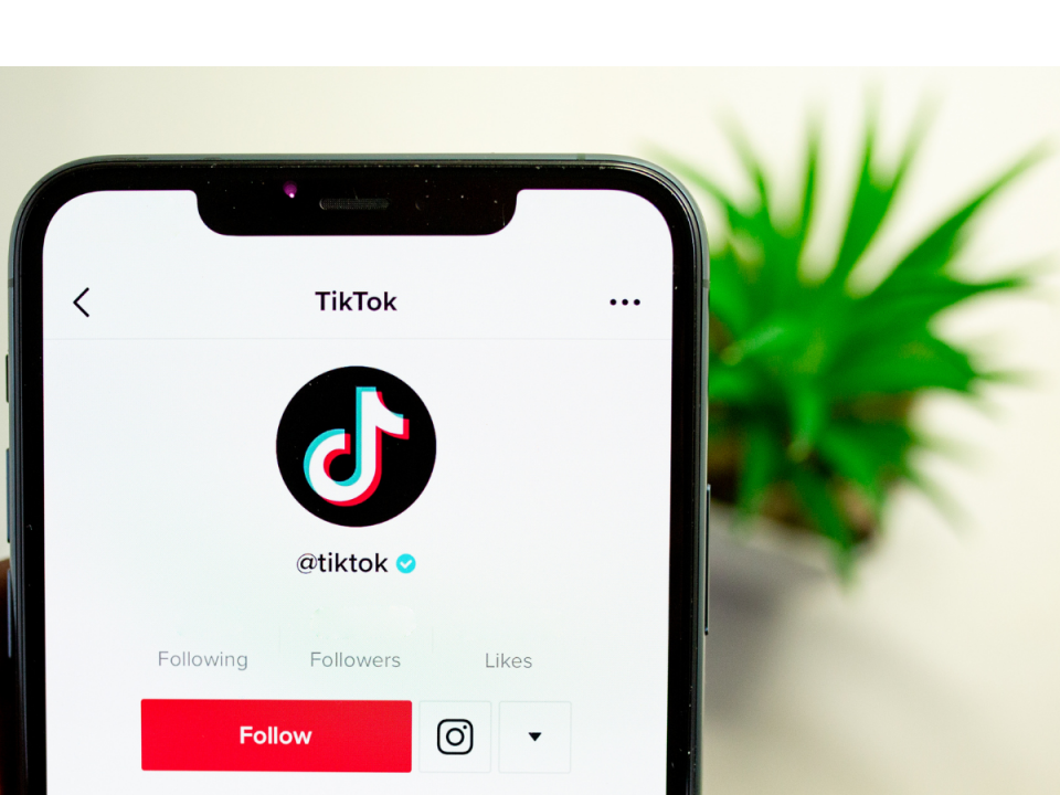 TikTok data leak