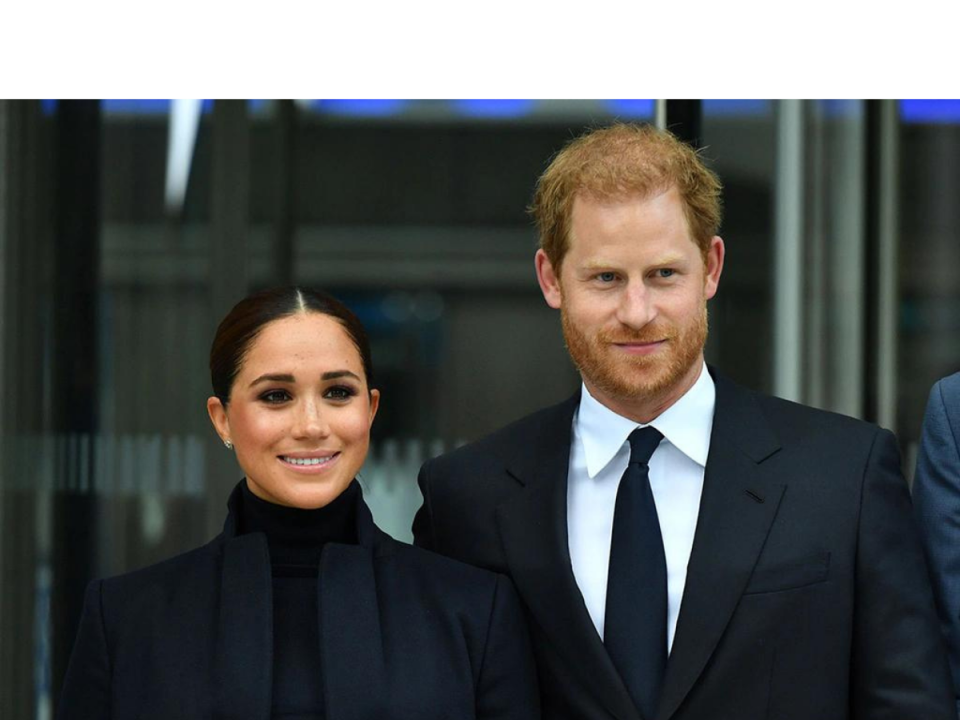 Prince Harry and Meghan Markle's children