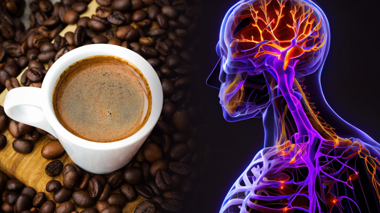 Caffeine: A Central Nervous System Stimulant