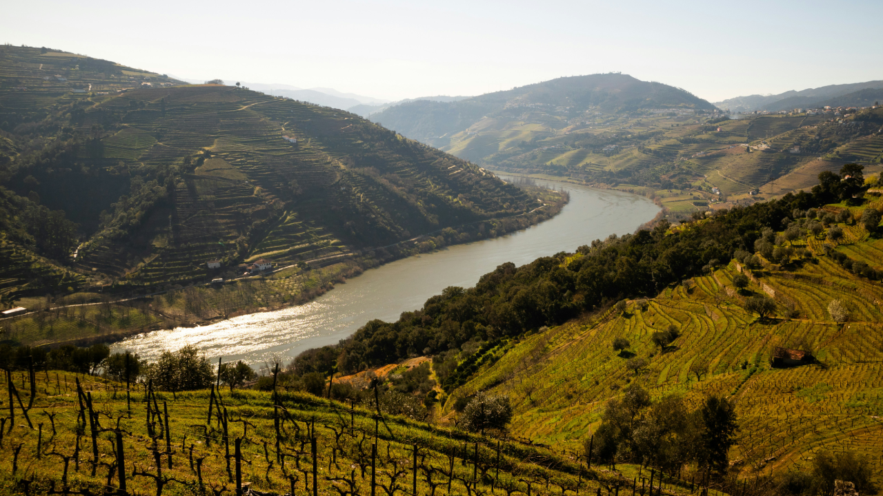 The Douro Valley, Portugal - top destinations autumn