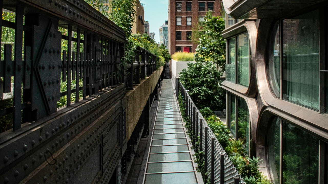 The High Line