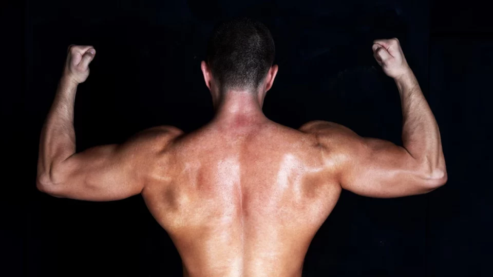 The 3 Best Exercises for a Bigger, Stronger Back