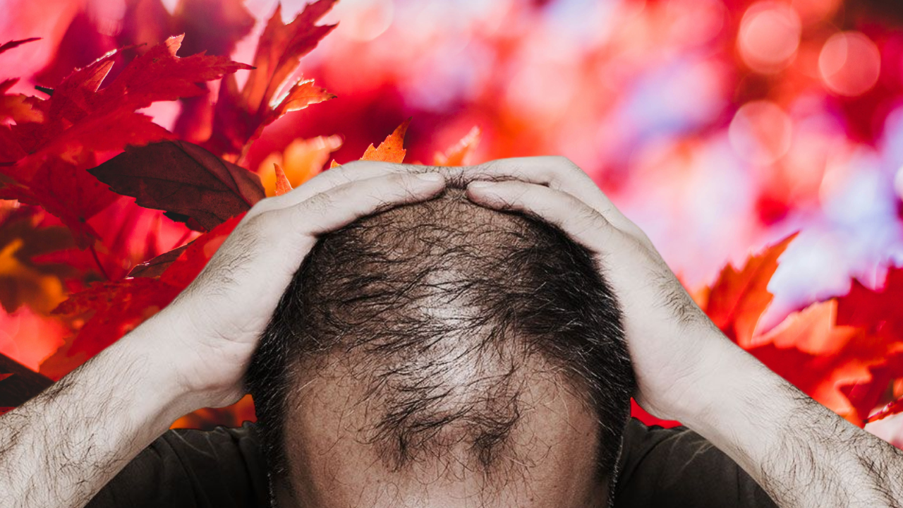 Why Does Hair Shed More in Autumn?