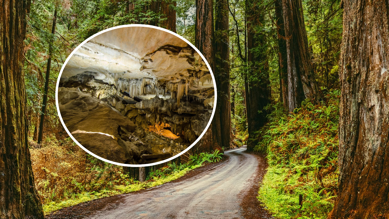 Exploring Crystal Cave – A Subterranean Wonder