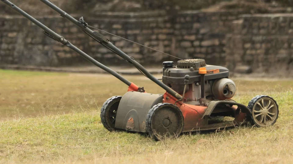 Mower Matchup: Is a Gas or Electric Lawn Mower Right for Your Yard