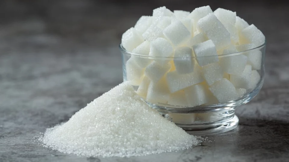 Cutting Sugar Early! How the First 1,000 Days Shape a Child’s Lifetime Healt