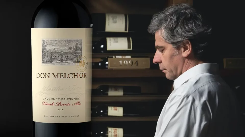 Don Melchor 2021: Chile’s Crown Jewel Shines as Wine of the Year